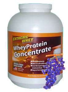Extreme Whey Whey Protein Concentrate 2500 гр
